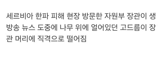 10년 전 안전모의 중요성을 알린 사건...