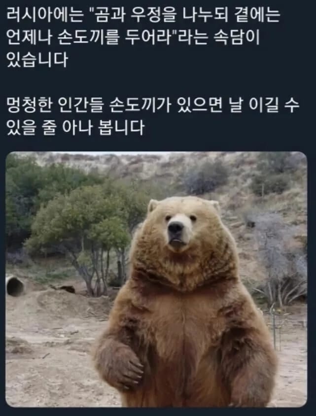 곰에 관한 러시아 속담..