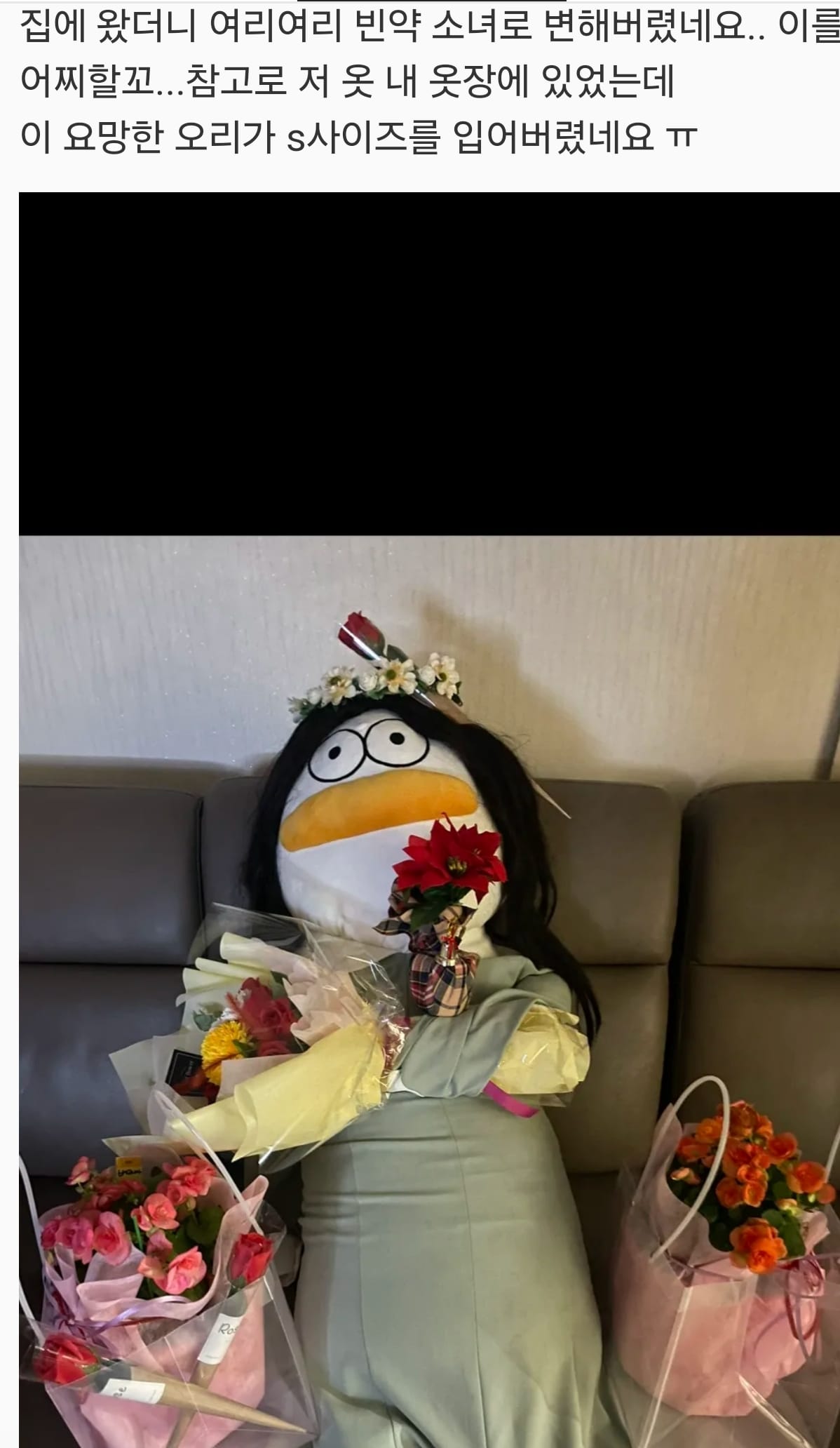 어딘가 이상한 바디 필로우 후기들