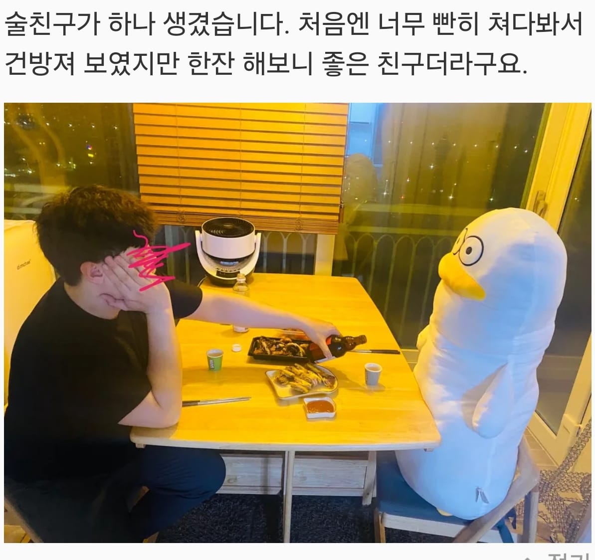 어딘가 이상한 바디 필로우 후기들