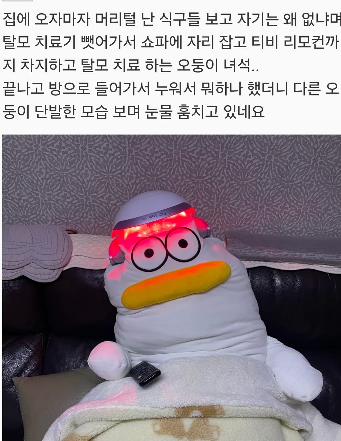 어딘가 이상한 바디 필로우 후기들