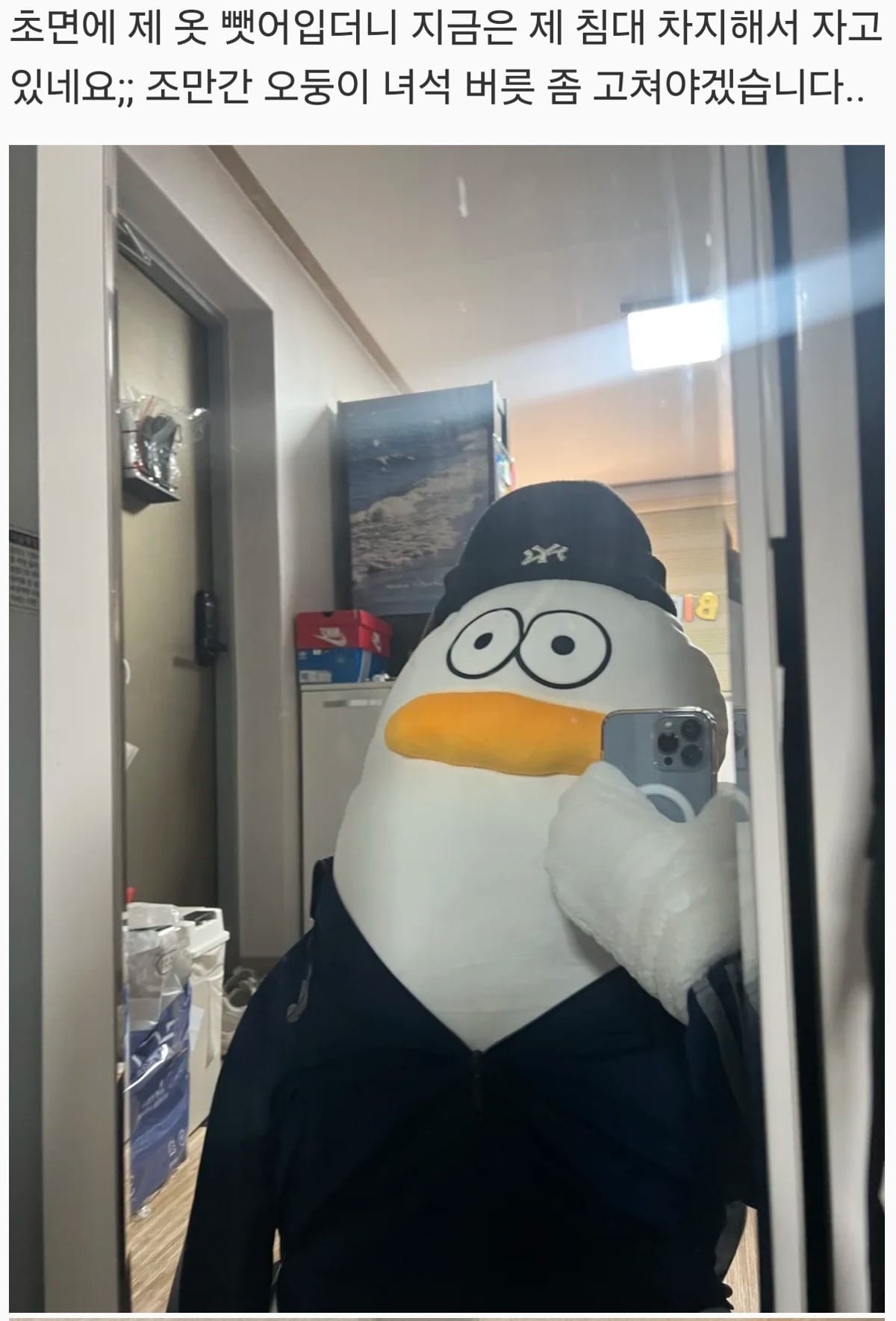 어딘가 이상한 바디 필로우 후기들