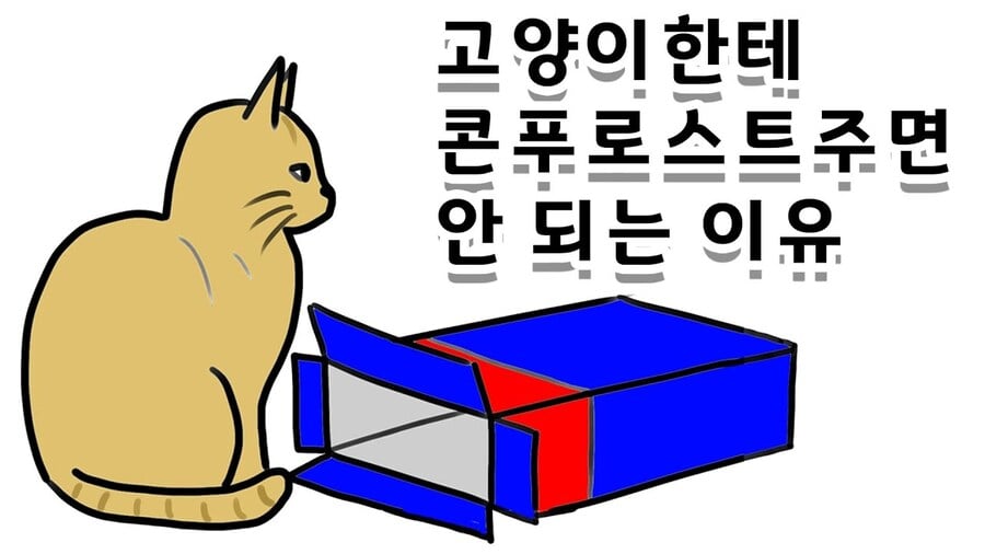 길냥이한테 콘푸로스트 함부로 주지마라
