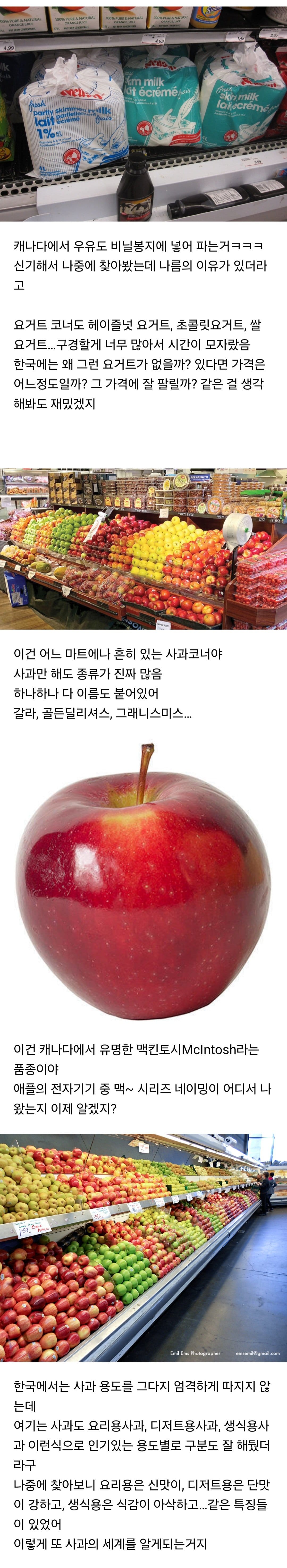 해외여행이 큰 경험이 아니라고 하는 이유