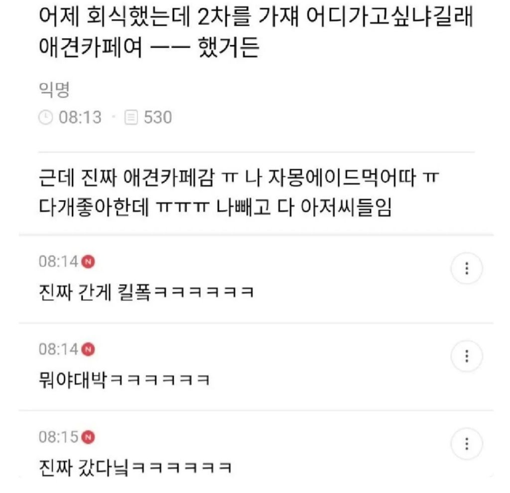 어제 회식 2차를 가쟤서 애견카페 가자고 했어