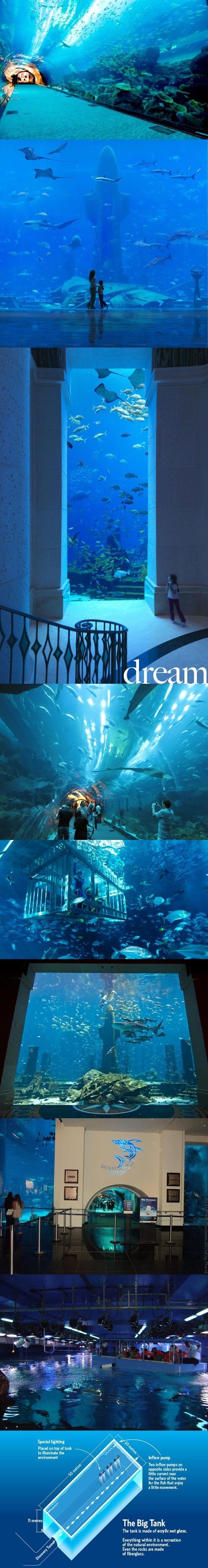 두바이 아쿠아리움(dubai Aquarium) 수준.