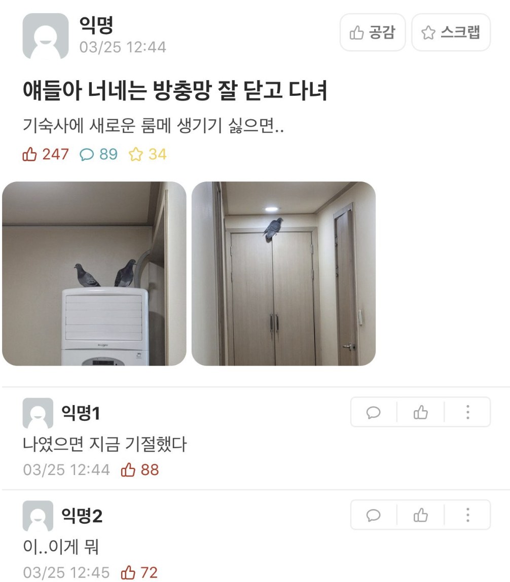 새로 생긴 룸메