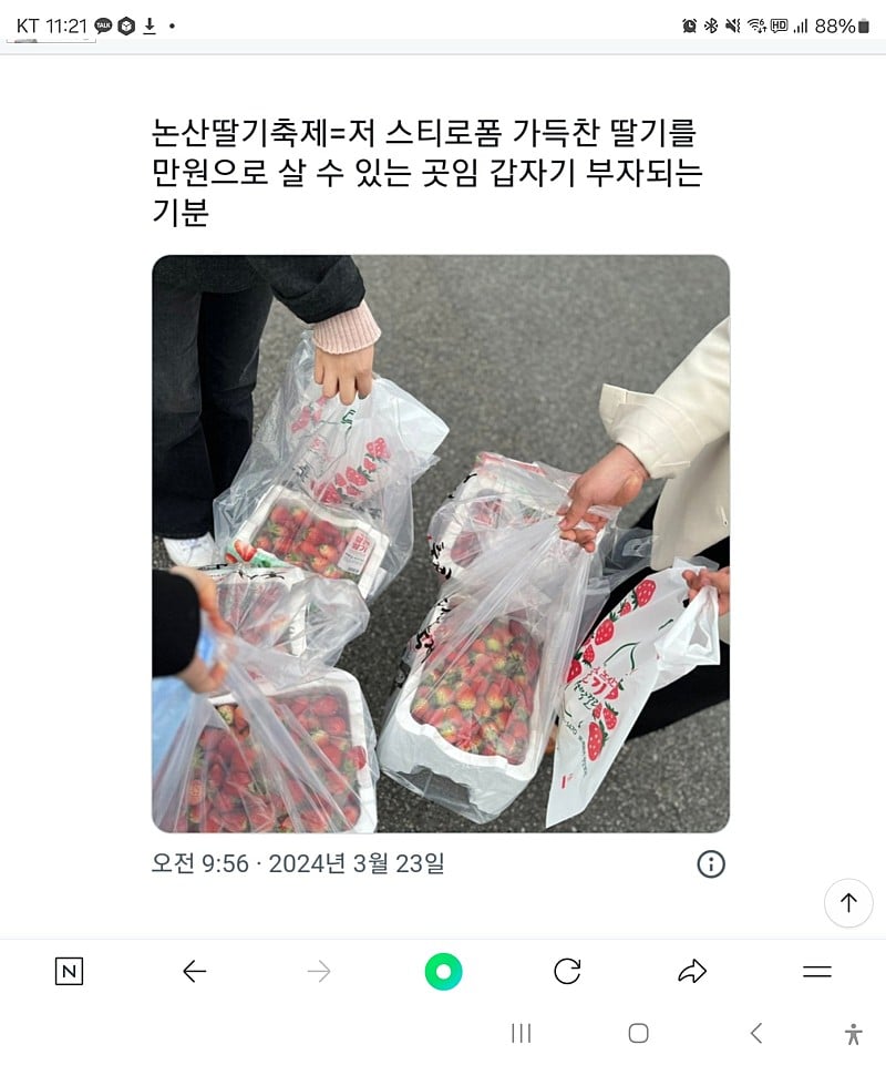 논산 딸기축제 만원어치 양