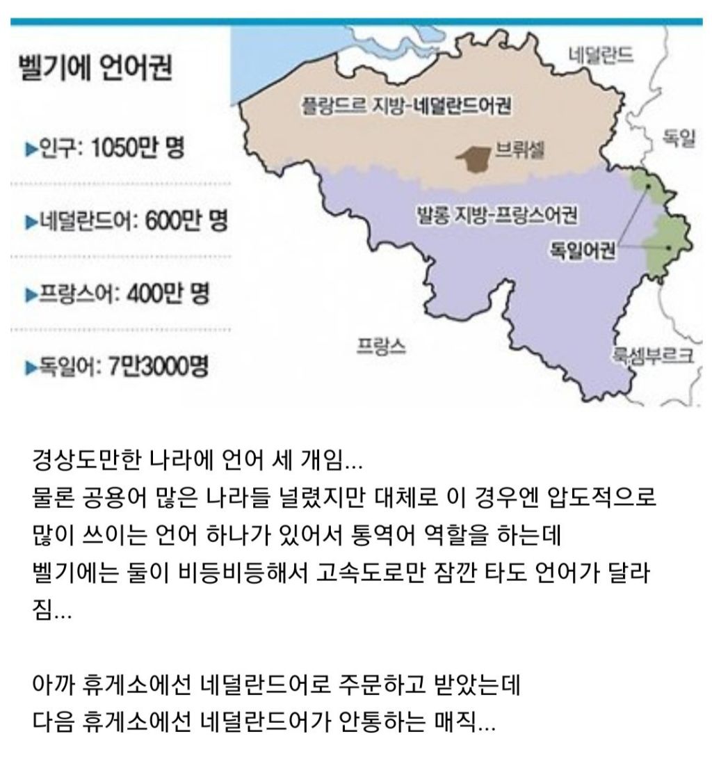 한국인들 벨기에 가서 놀라는것