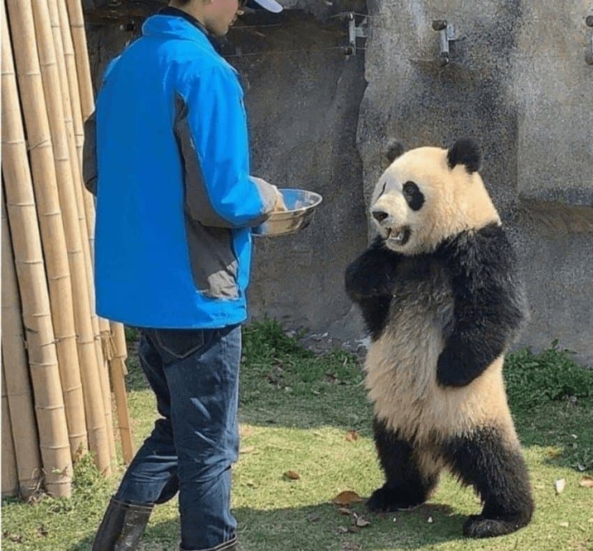 죳또! 오니쨩!! 이 사료는 싫다고 했잖아ㅡ!!!!