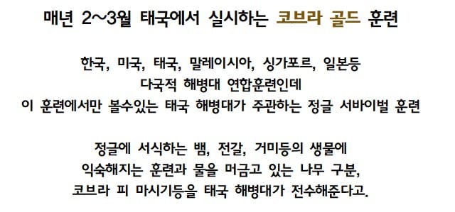 태국 해병대가 주관하는 정글 극복 훈련.jpg