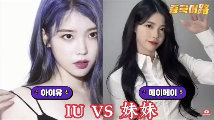 한국 유명인 닮아서 유명해진 중국 인플루언서들