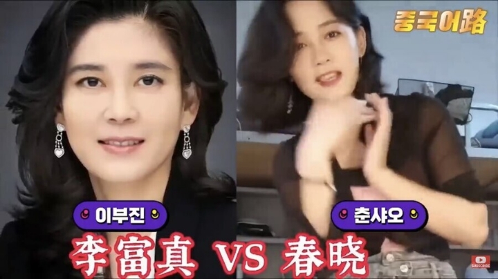 한국 유명인 닮아서 유명해진 중국 인플루언서들