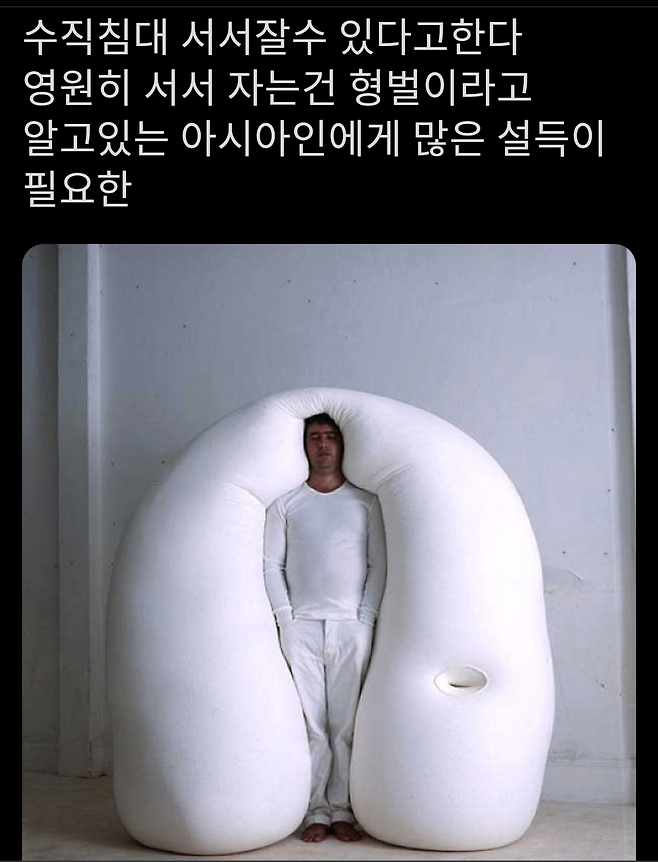 세상은 넓고 기묘한 침대는 많다 