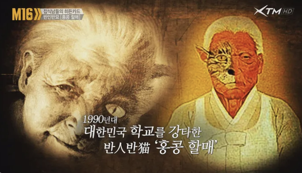 학창시절 대한민국 휩쓸고 간 대중성 갑 귀신 3명...jpg