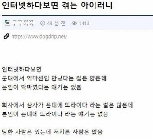 인터넷 세상에서의 아이러니