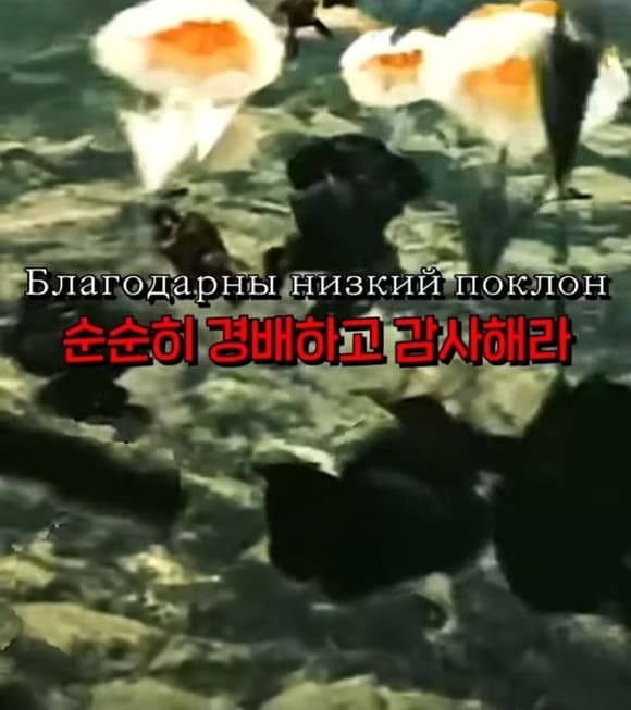 각 국가별 군가 비교.jpg