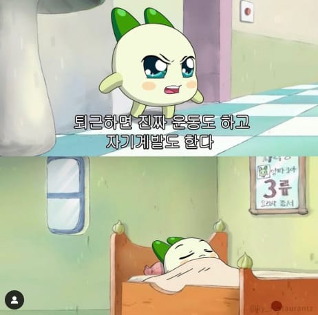 직장인들이 많이들 한다는 거짓말