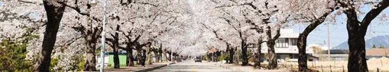 정이 넘치면서 단호한 한국인.jpg