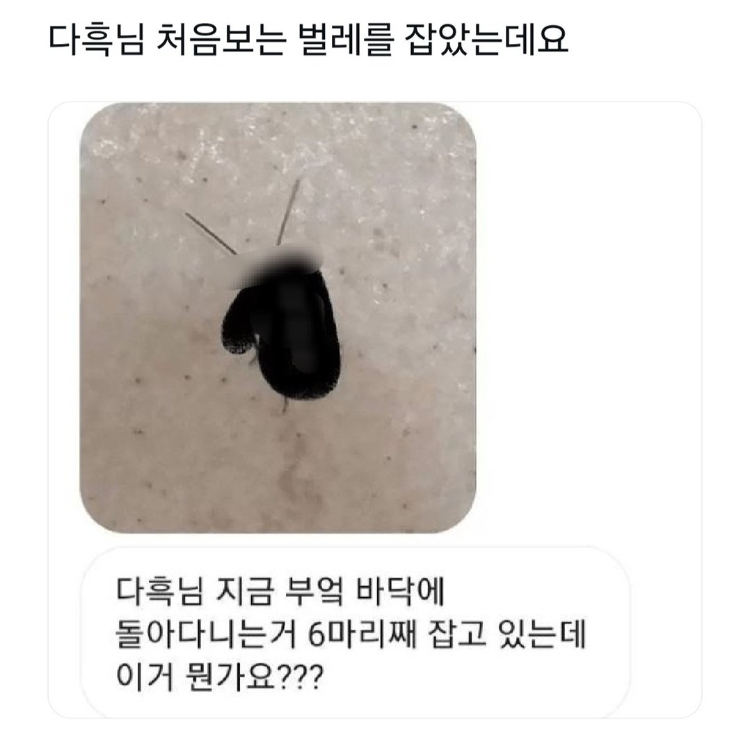 다흑님 처음 보는 벌레를 잡았는데요.jpg