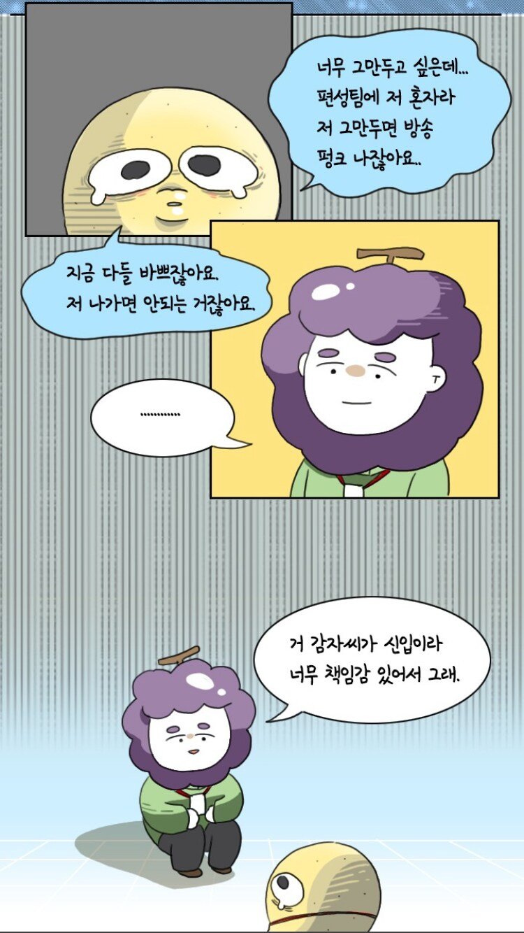 신입에게 해줄수 있는 최고의 조언