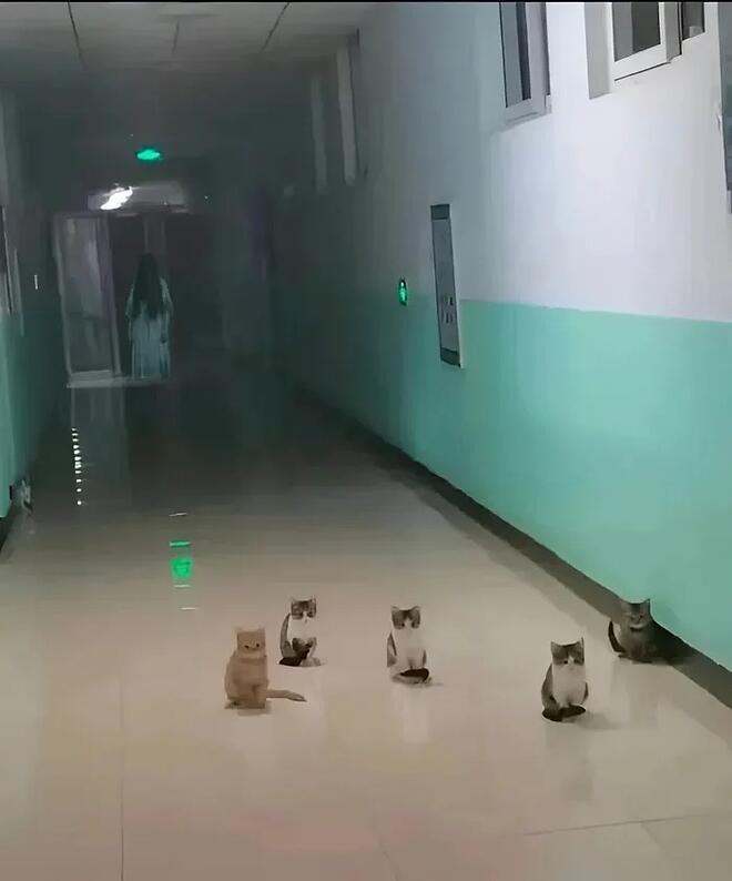 심장에 해로운 사진?.jpg