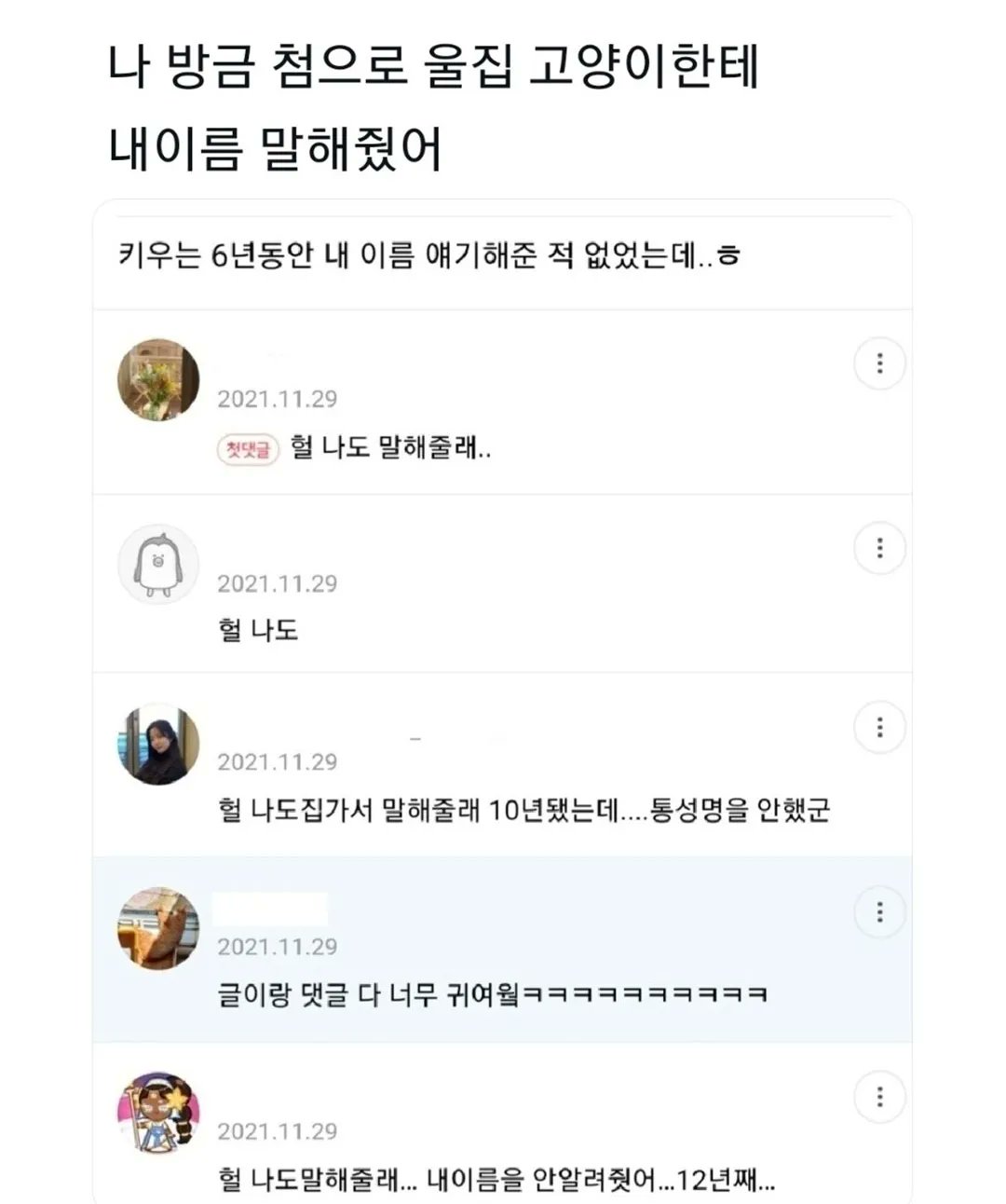 반려동물 키우는 사람들이 의외로 안 해 본 것