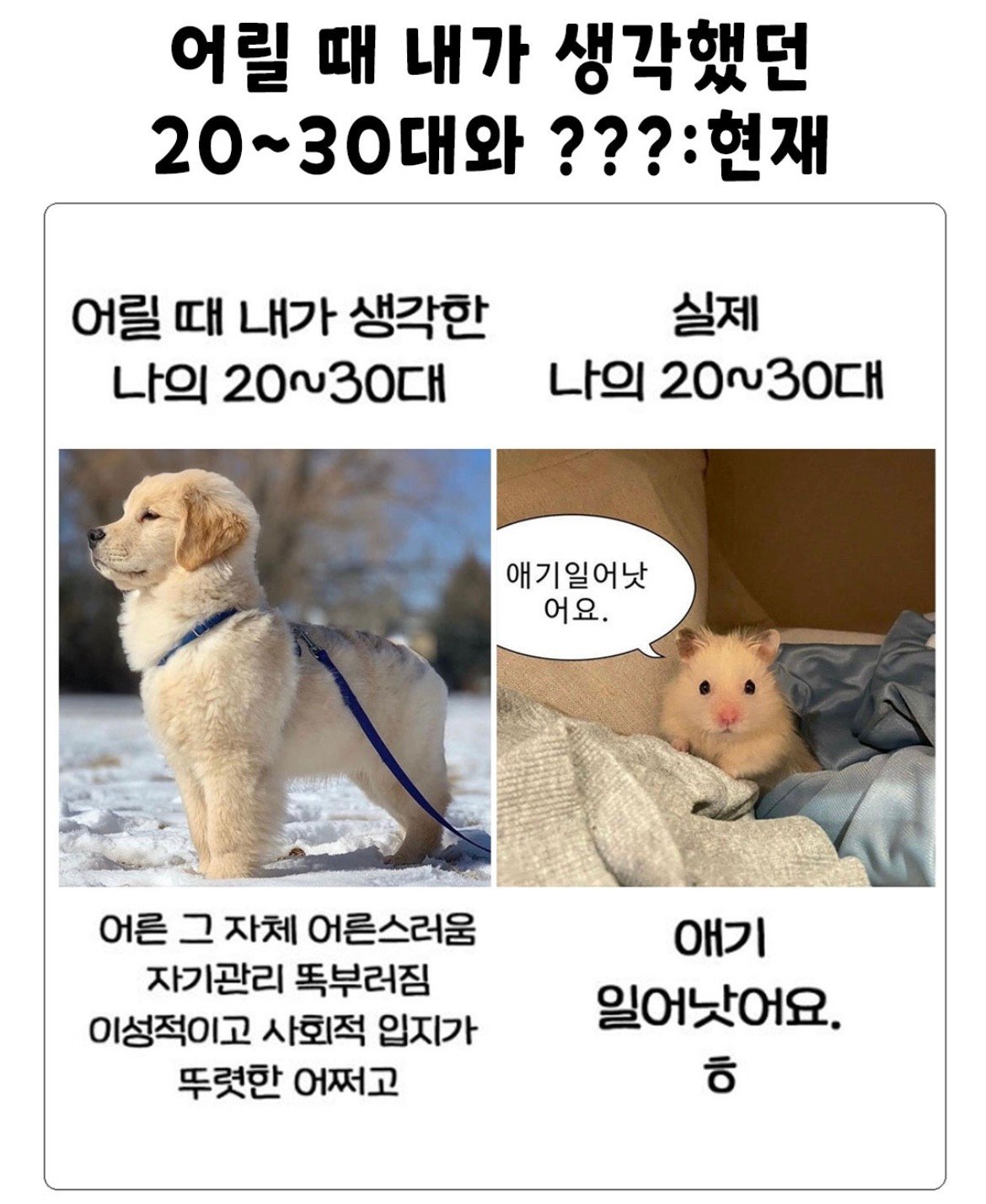 어릴때 생각했던 20-30대