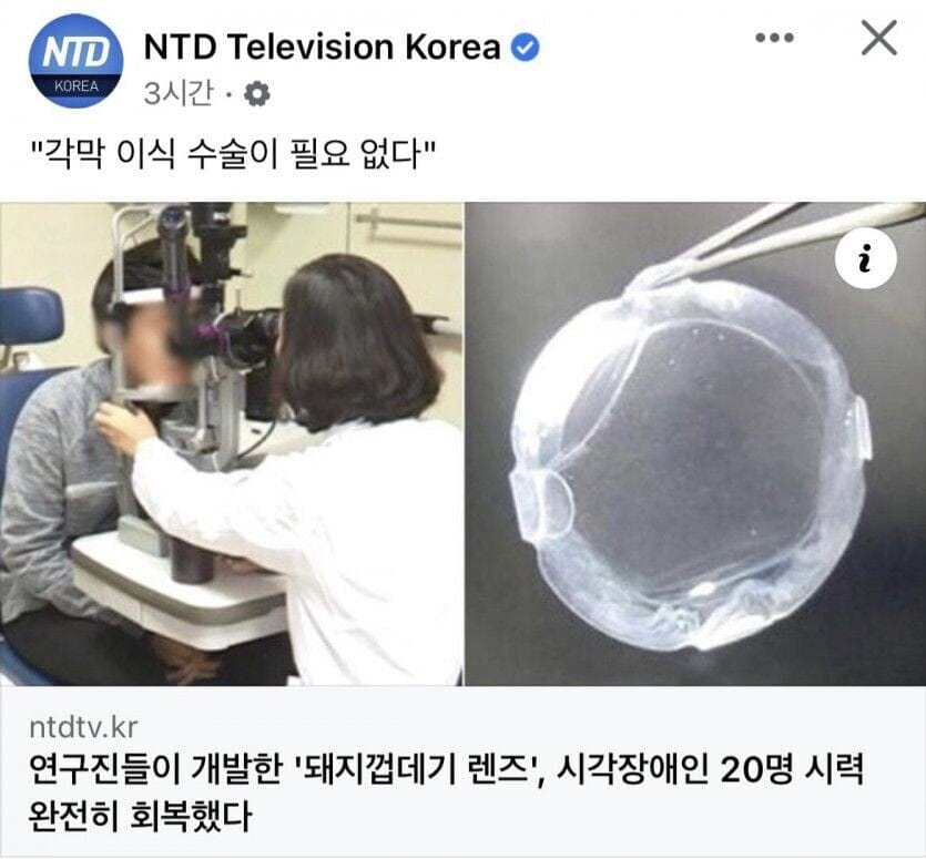 수상할 정도로 인간과 궁합이 좋은 동물 甲