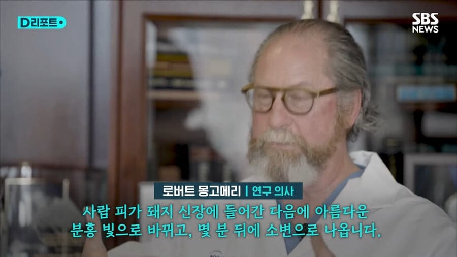 수상할 정도로 인간과 궁합이 좋은 동물 甲