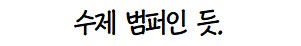 범퍼가 이상하다.jpg