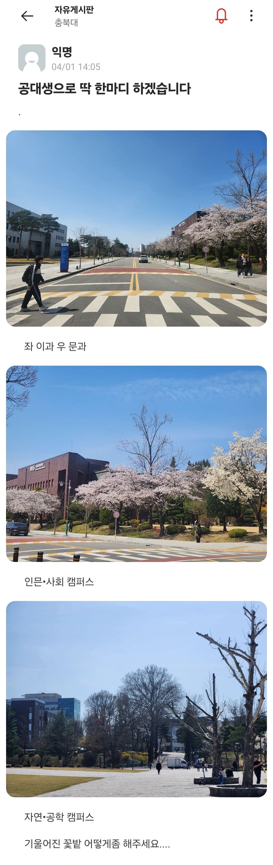 충격적인 대학교의 기울어진 캠퍼스