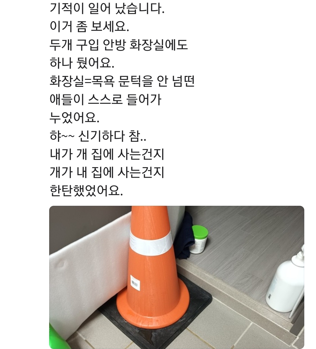 울 동네 당근 글봐 ㅋㅋㅋㅋ 소변 못가리는 남자강쥐 이걸로 고쳤댴ㅋㅋㅋ