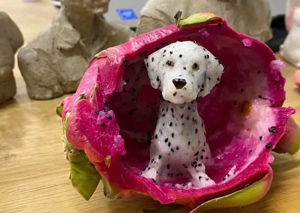 달마시안 용과