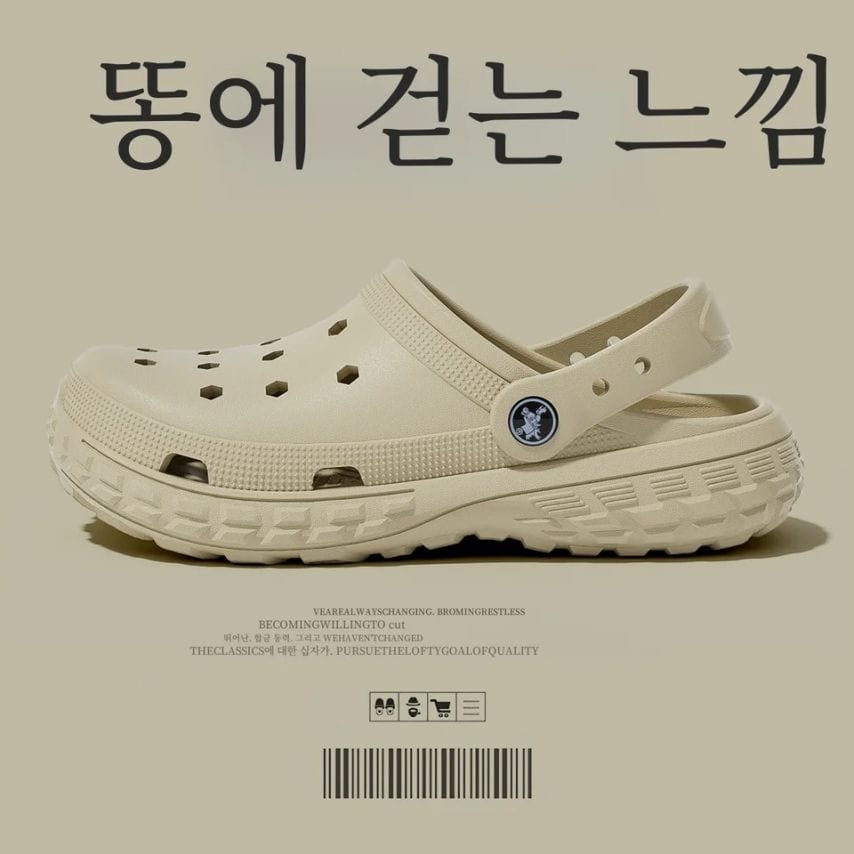 알리 번역 대참사.jpg