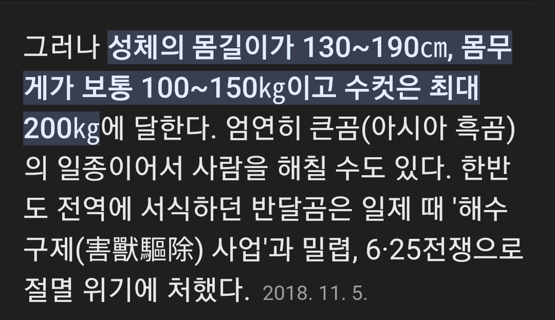 일본 불곰 크기
