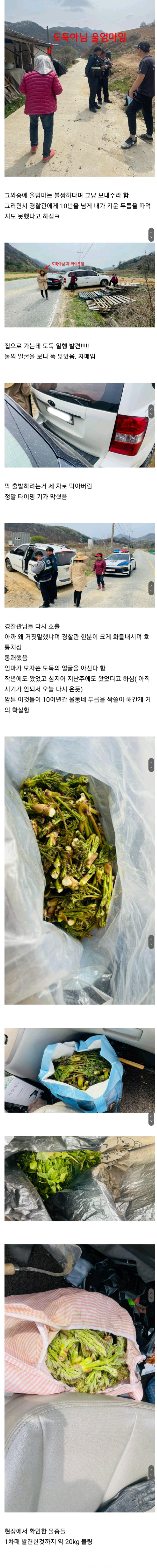 두릅 도둑을 잡았습니다.jpg