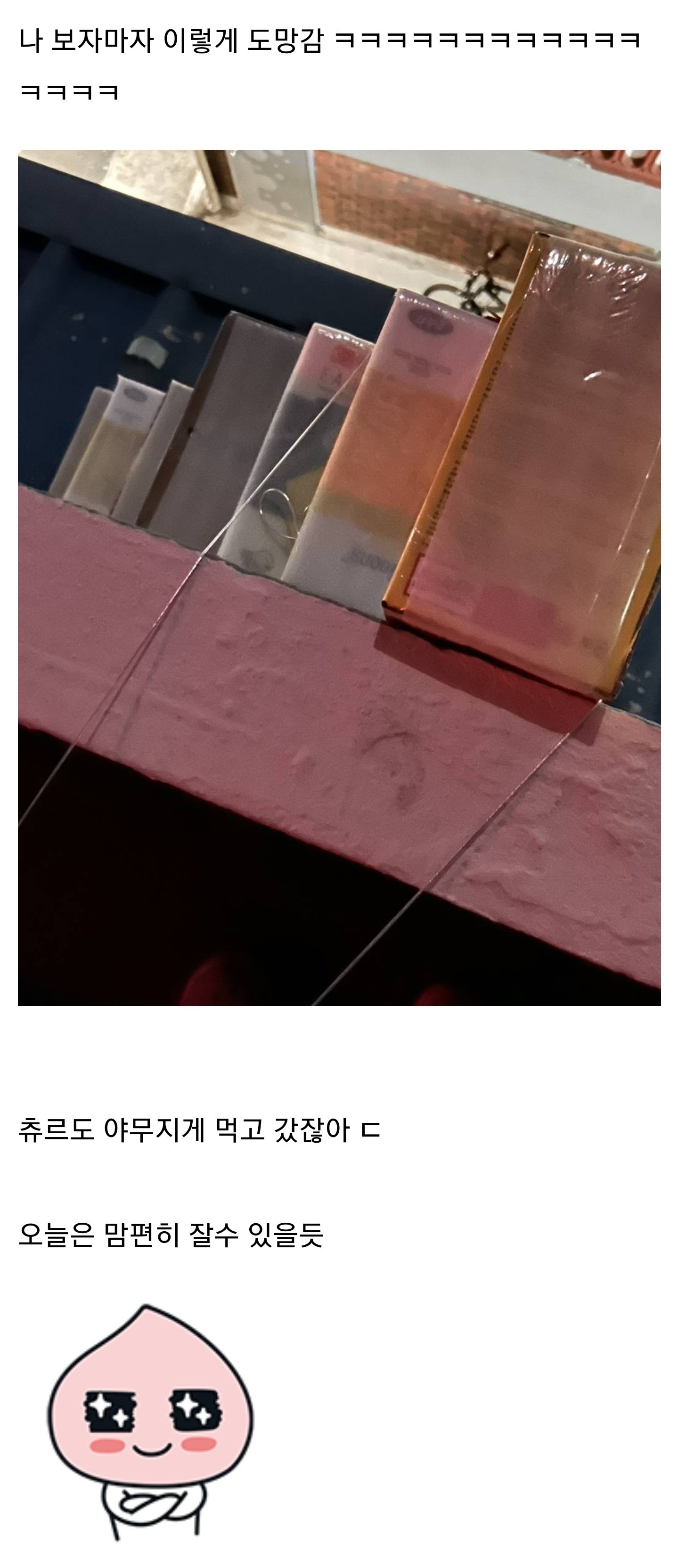 한 일주일 전부터 집근처에서 야옹야옹 소리나는데