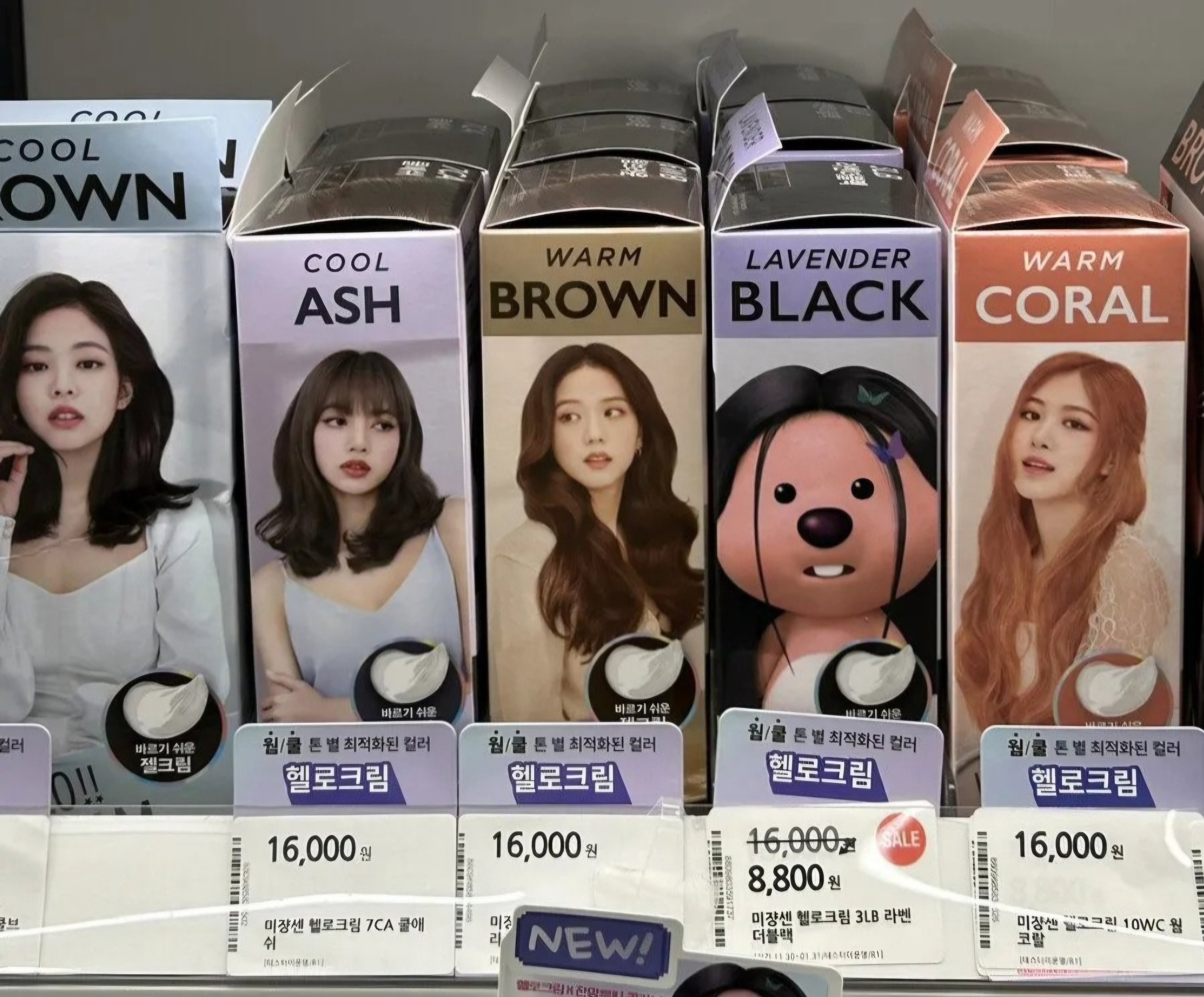 블랙핑크 신규멤버.jpg