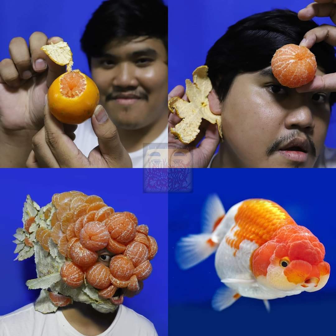 초심찾은 저가 코스프레좌 최신작.jpg