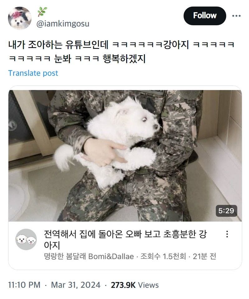 군대 간 오빠 하염없이 기다리던 강아지.jpg