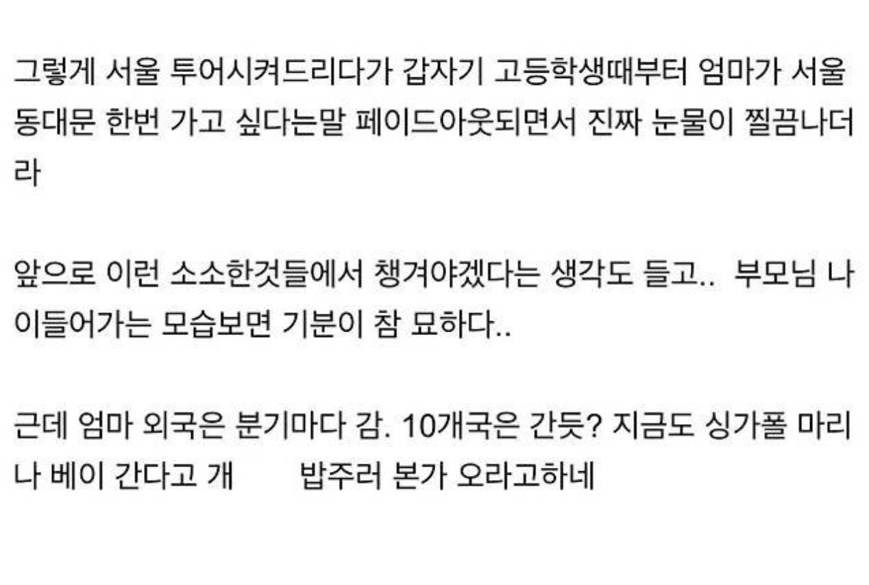 서울 구경 한번 해보는 게 소원인 엄마