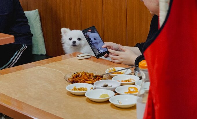 강아지 있는 설렁탕집 근황.jpg