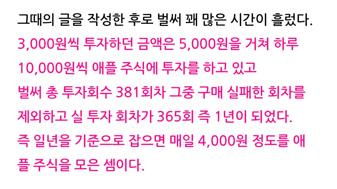 매일 4,000원 1년간 애플 주식에 투자한 결과