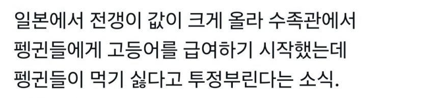 일본 수족관 펭귄들에게 생긴일