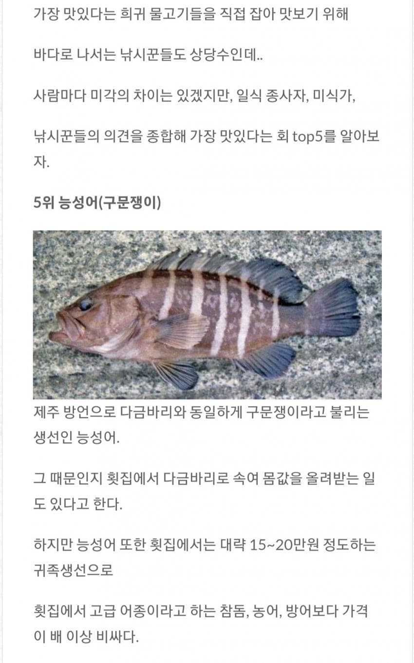 낚시꾼피셜 가장 맛있는 회 TOP 5.jpg