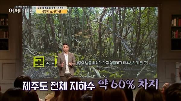 비밀이 밝혀진 것이 오히려 비극이 된 숲.jpg