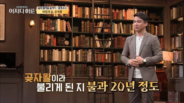 비밀이 밝혀진 것이 오히려 비극이 된 숲.jpg