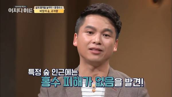 비밀이 밝혀진 것이 오히려 비극이 된 숲.jpg