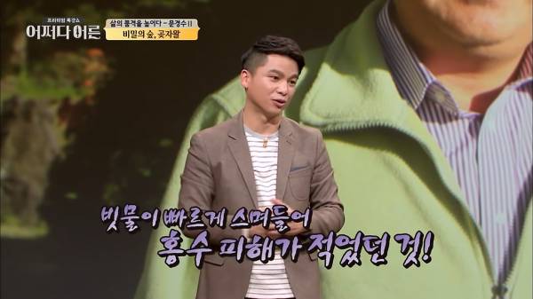 비밀이 밝혀진 것이 오히려 비극이 된 숲.jpg
